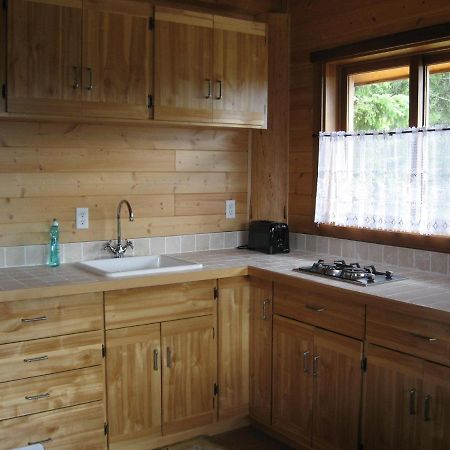 Tschurtschenthaler Rentals Голдън Екстериор снимка